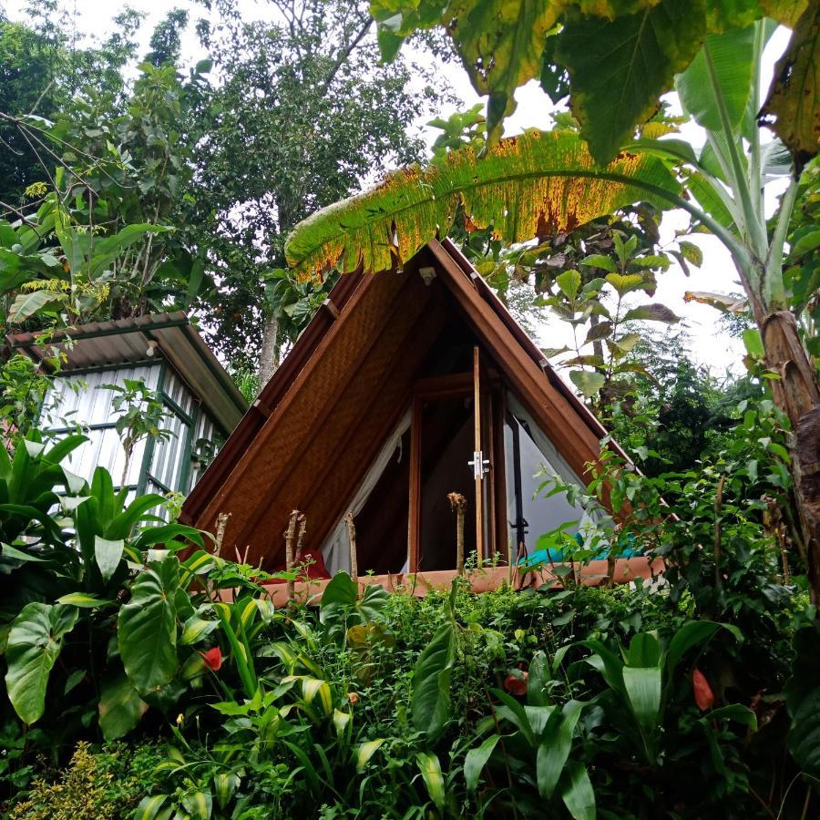 Eco Bedugul Adventurer Camp Bed & Breakfast Dış mekan fotoğraf