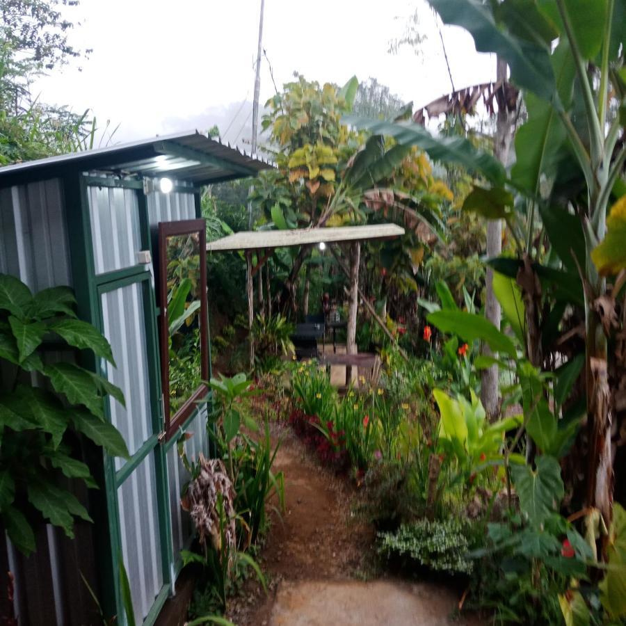 Eco Bedugul Adventurer Camp Bed & Breakfast Dış mekan fotoğraf