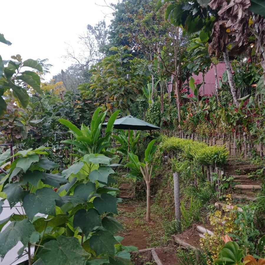 Eco Bedugul Adventurer Camp Bed & Breakfast Dış mekan fotoğraf